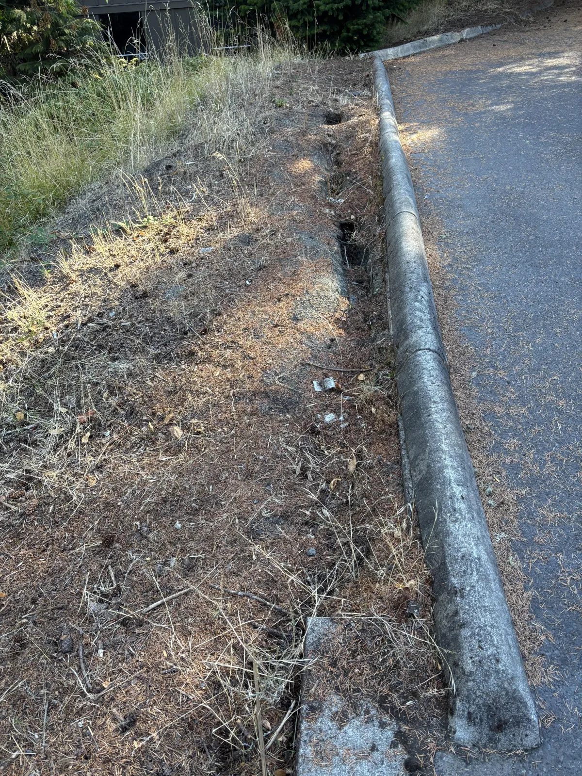 Early signs of slope failure and soil erosion along roadway prior to landslide mitigation in the South Eugene Hills, Oregon