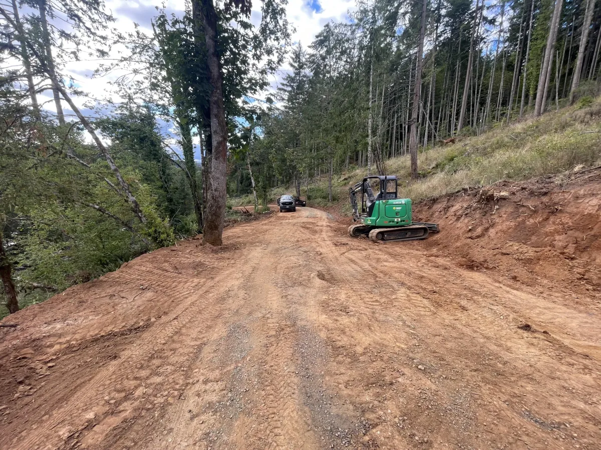 Wire mesh slope stabilization installed after landslide mitigation in the South Eugene Hills, securing the hillside above the roadway