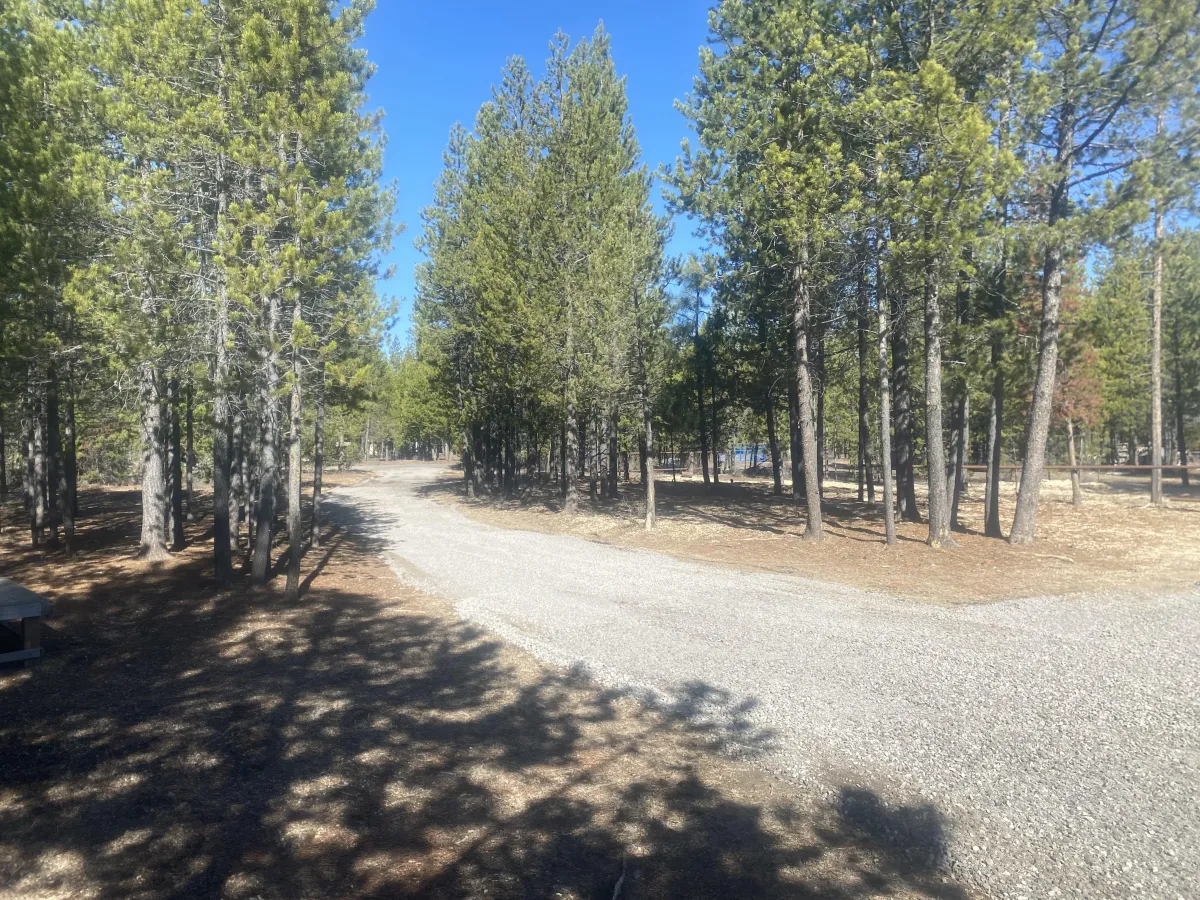 Graveled driveway installed through wooded property for improved access and drainage