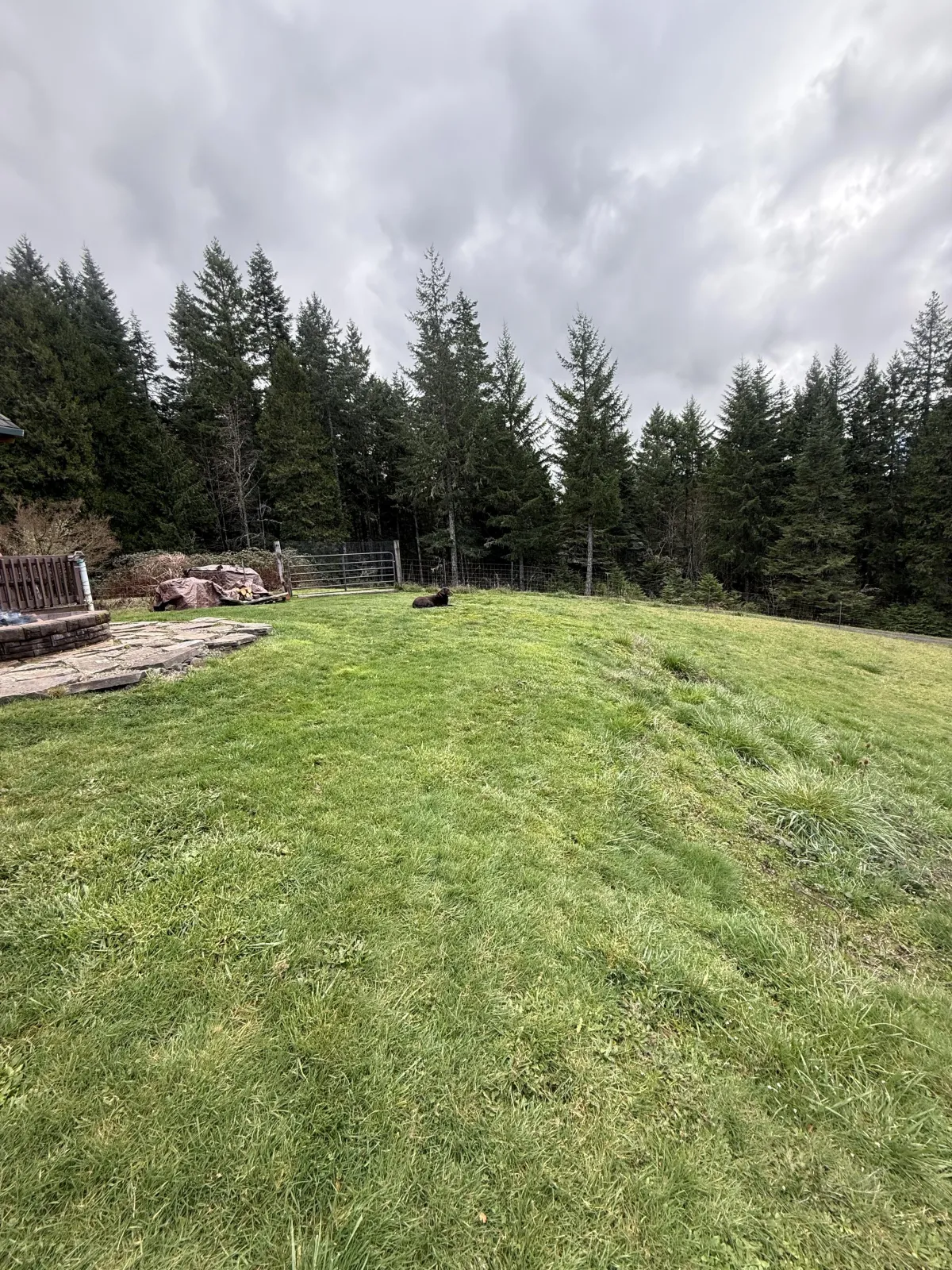 Post hole excavation and layout for custom goat barn construction in Cottage Grove, Oregon