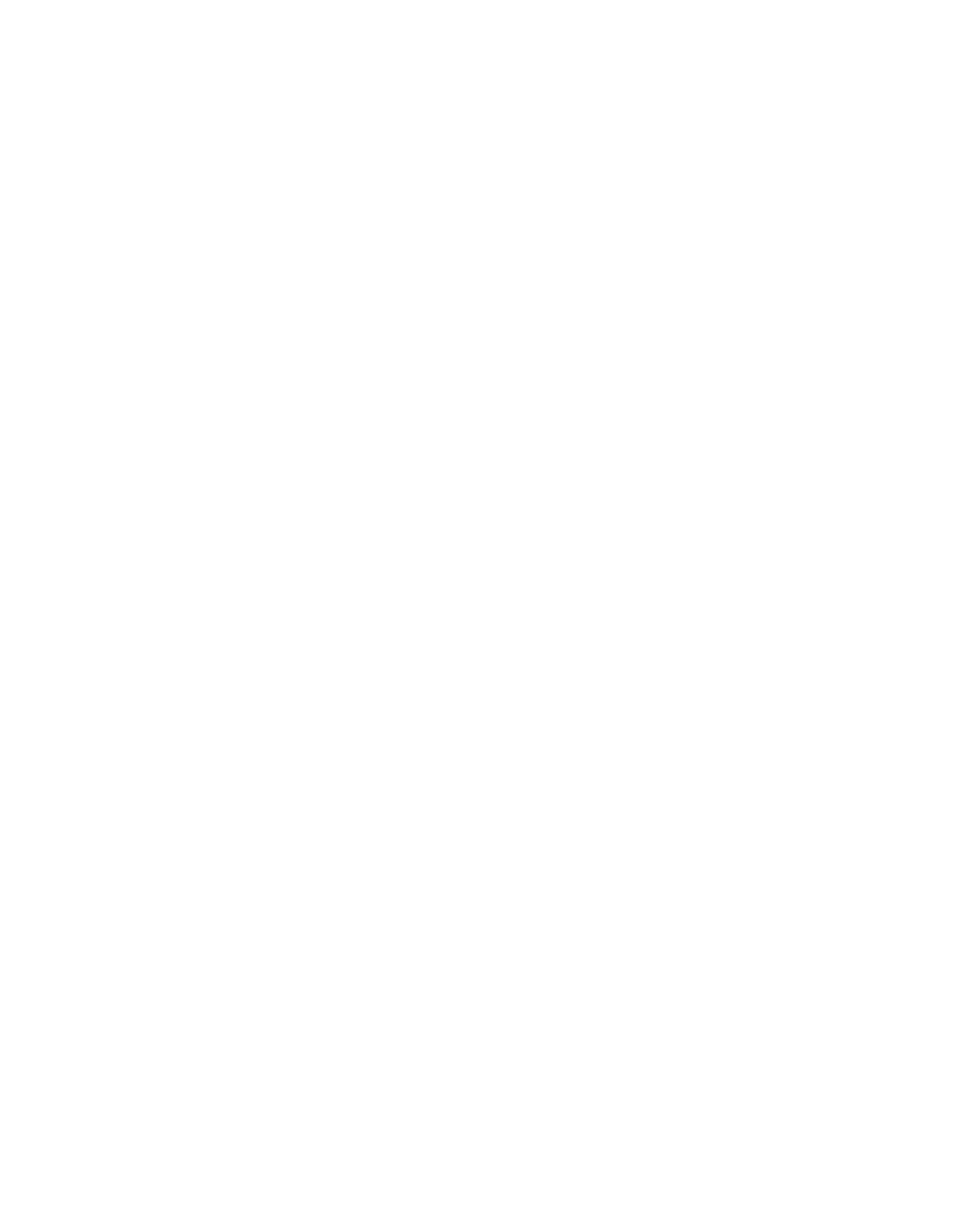 Price tag icon representing transparent IT pricing