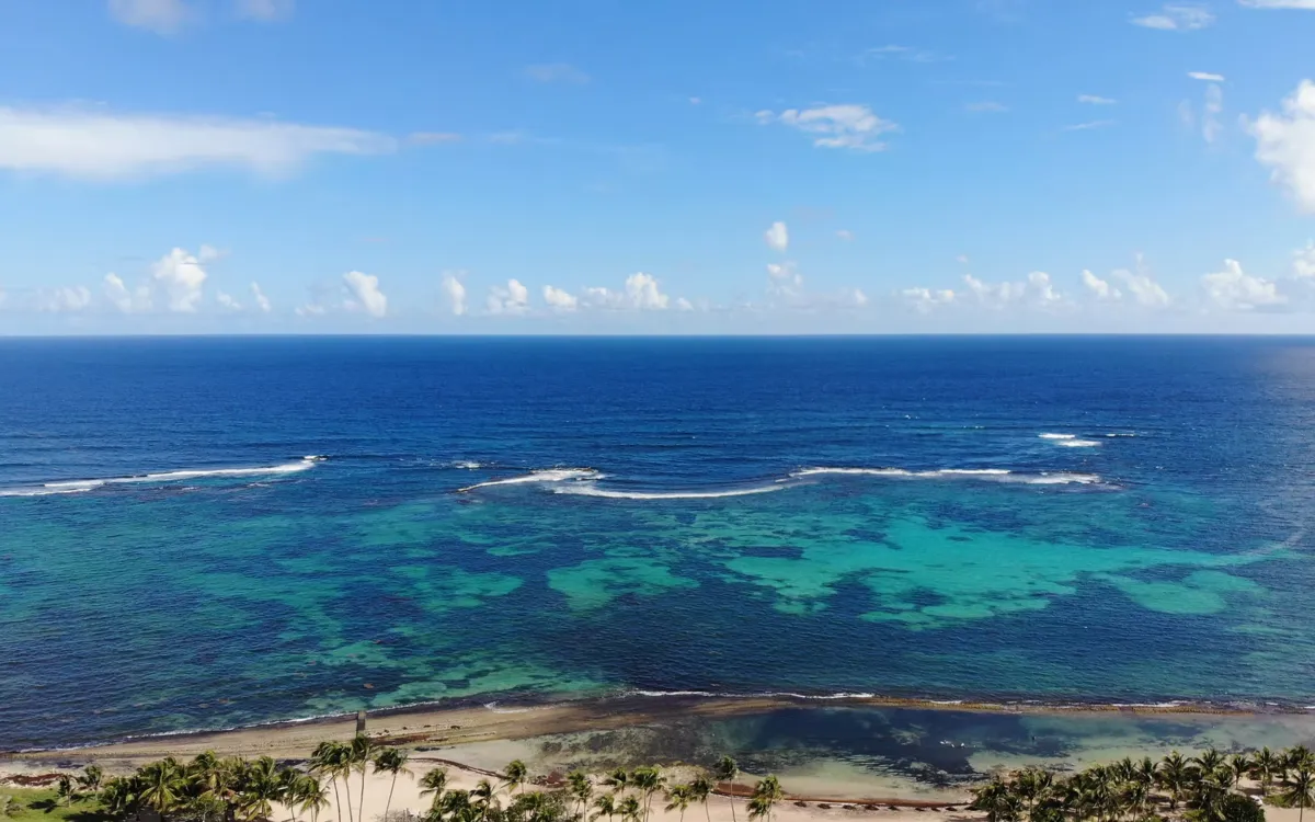 Location bord de mer