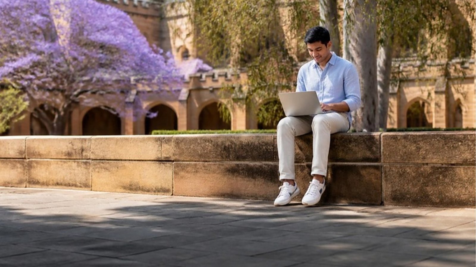 A student in a light blue shirt works on a laptop on a sandstone ledge under a jacaranda tree in an Australian university quad, running a CRICOS course search before he applies.