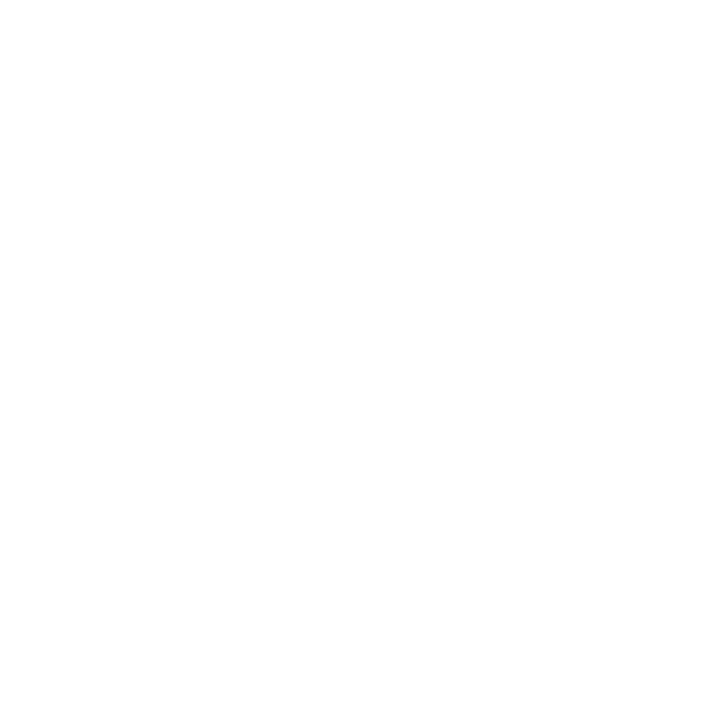 Icon of a tire representing tire and wheel services.