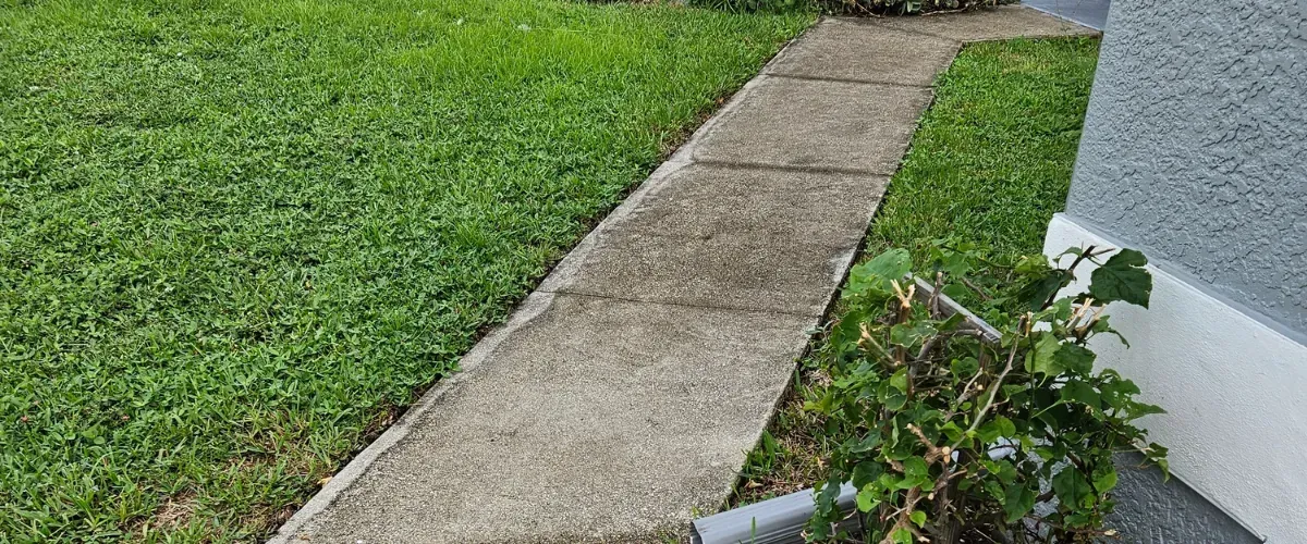 Concrete sidewalk leading to a home entrance with green grass on both sides and trimmed bushes along the walkway