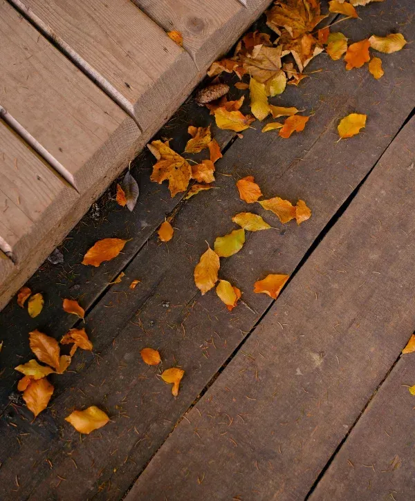 Autumn leaves scattered on a wooden deck surface.
