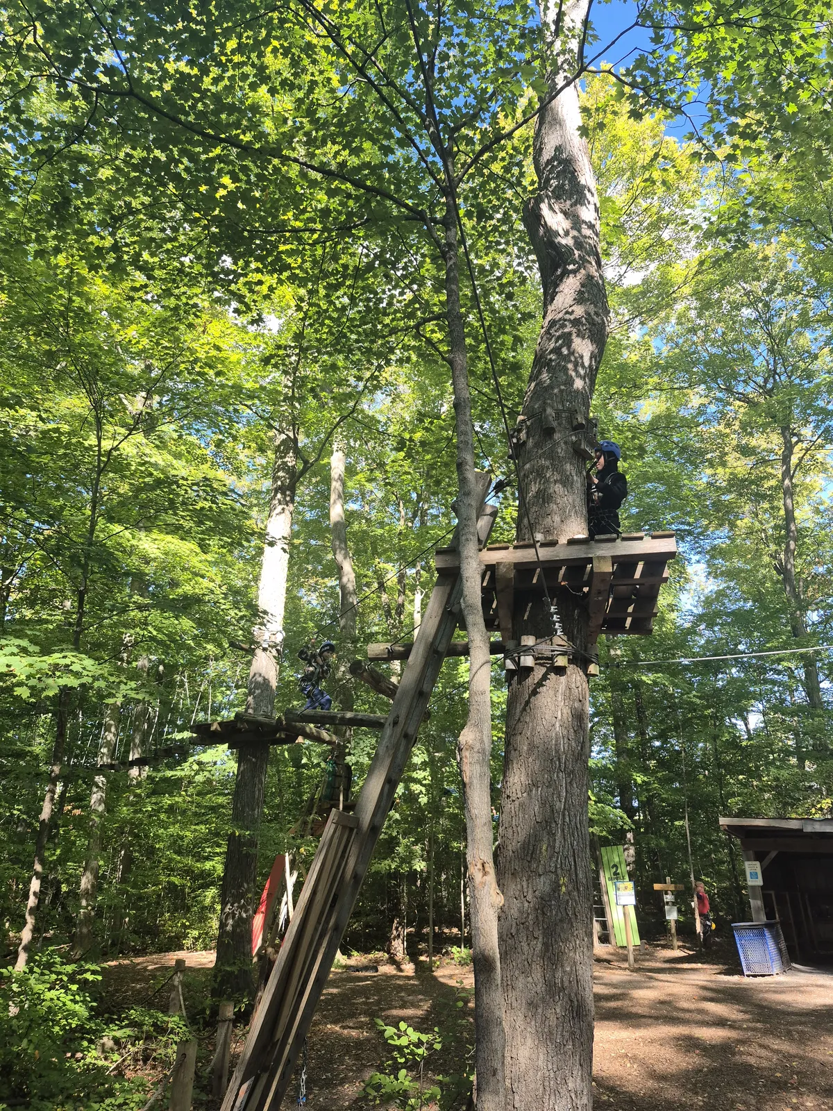 An Evergreen student taking on an outdoor ropes-course challenge among the trees