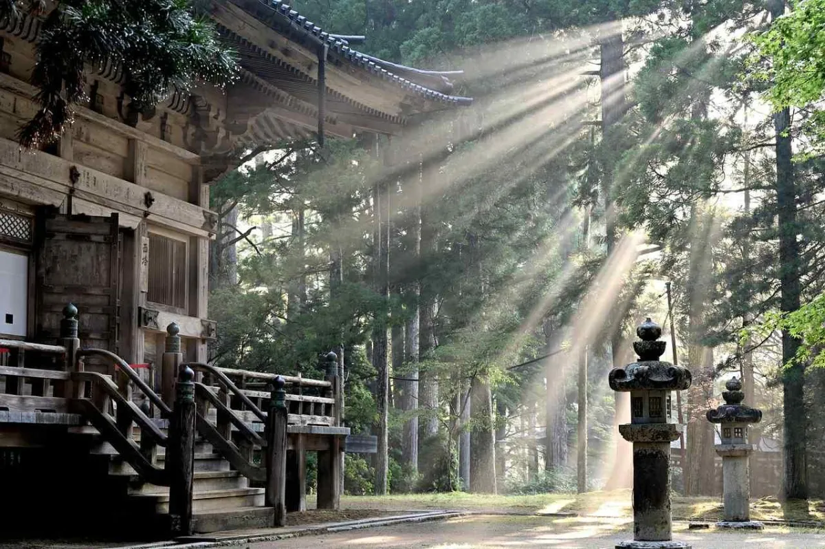 Japanese temple in forest with sunlight