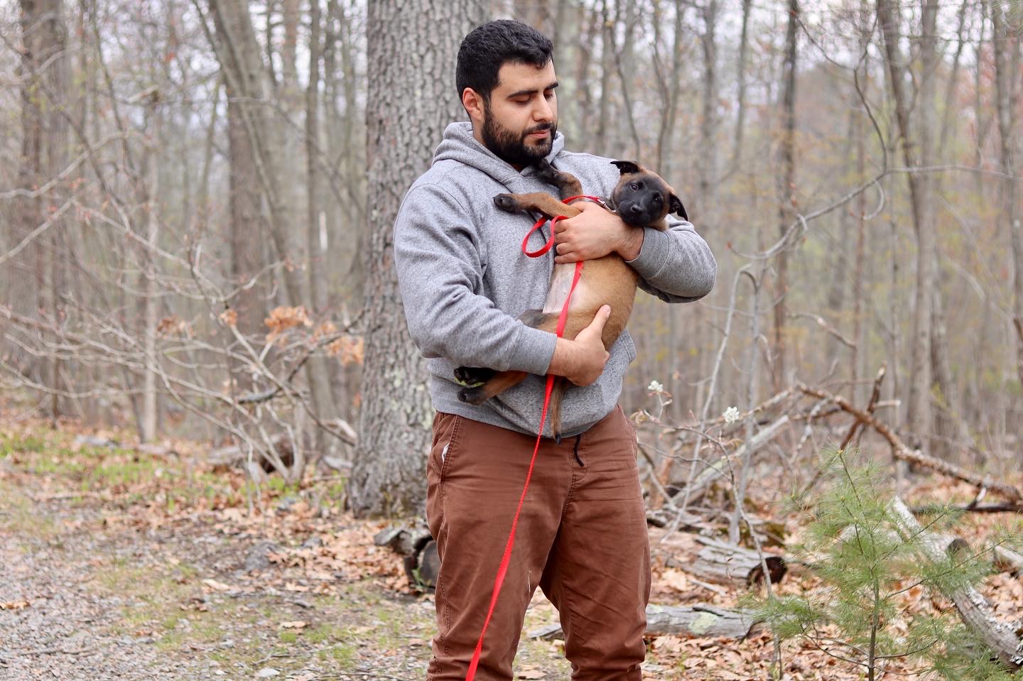 puppy training