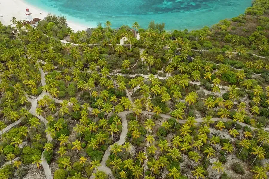 Aerial view of a tropical landscape