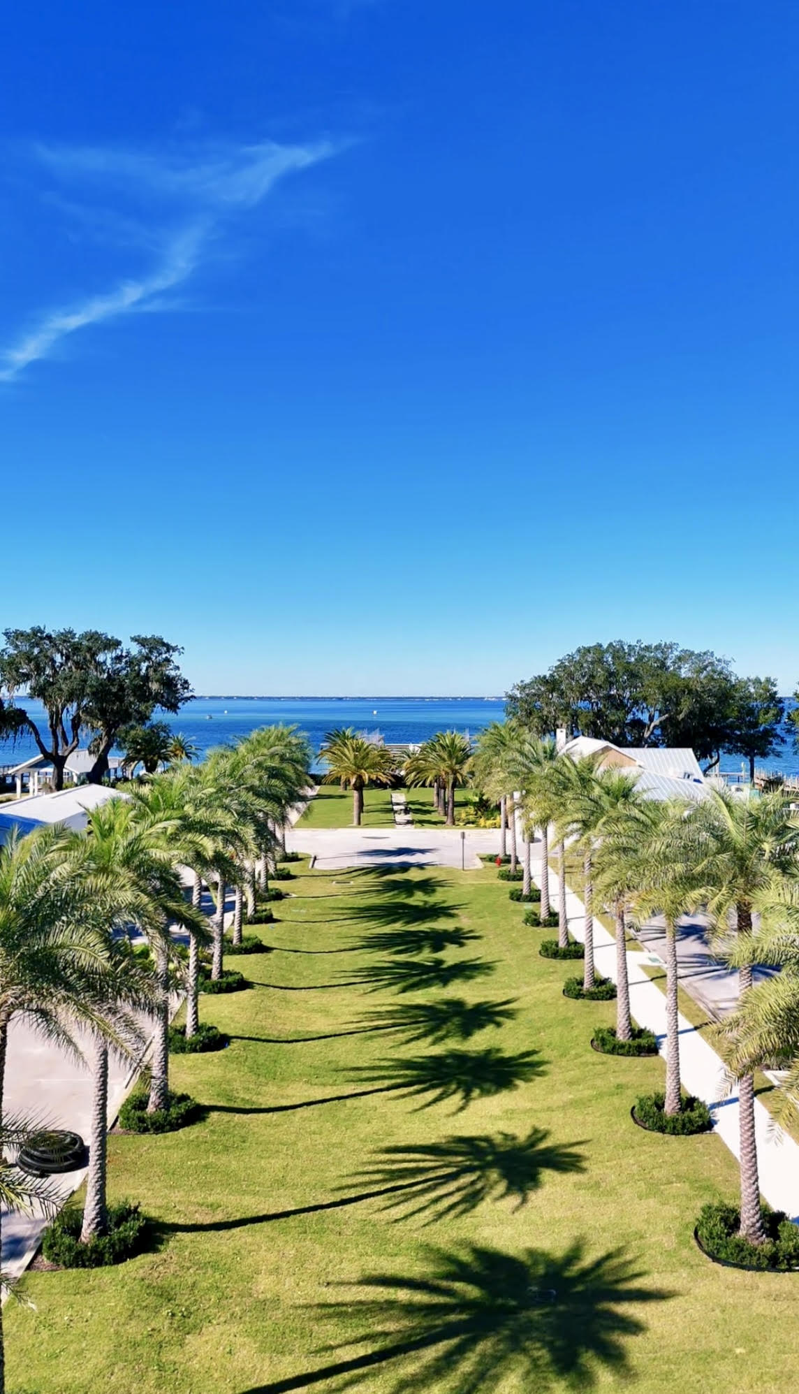 A modern, sunlit conference venue with floor-to-ceiling windows, lush greenery visible outside, and a diverse group of women networking in the spacious lobby. The setting is welcoming, with contemporary decor and an atmosphere of excitement and anticipation.