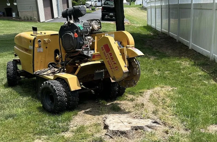 a stump grinding machine in front of stump