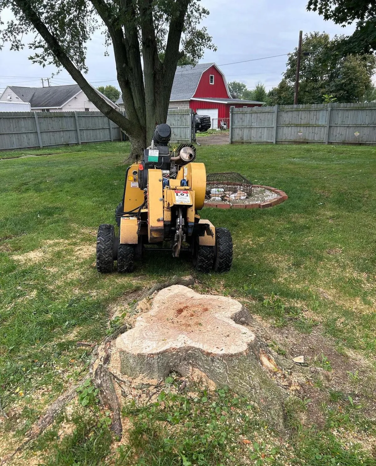 A stump and a stump grinder in the backyard