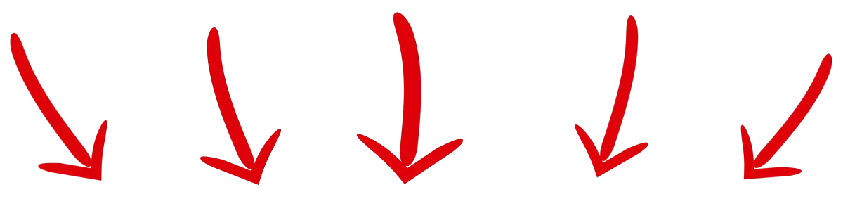 Illustration of the Space School program