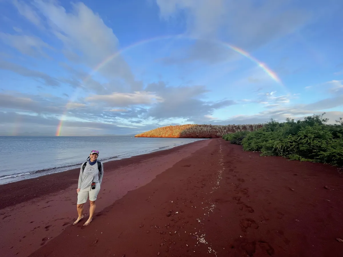 bird's eye view of town