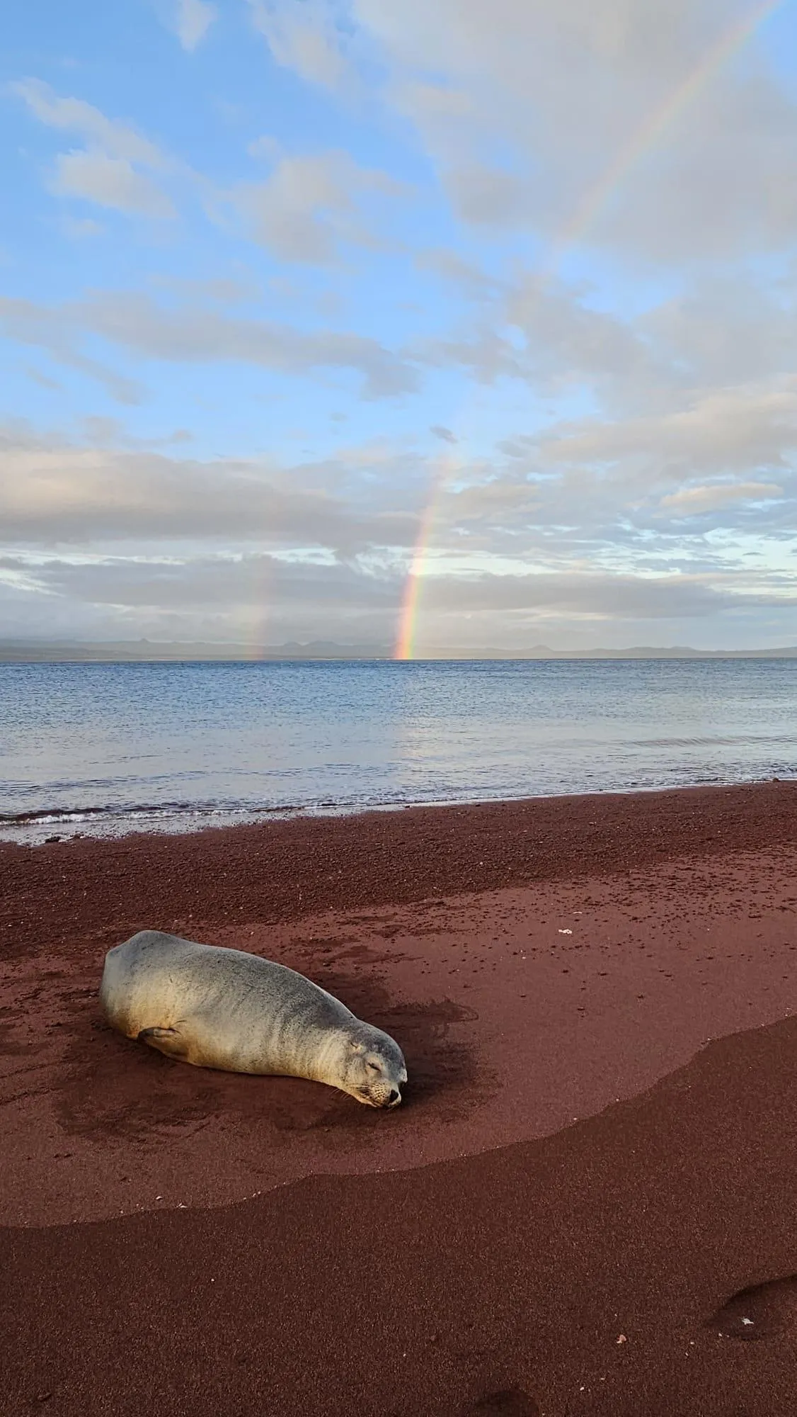 brown concrete building under blue sky during daytime
