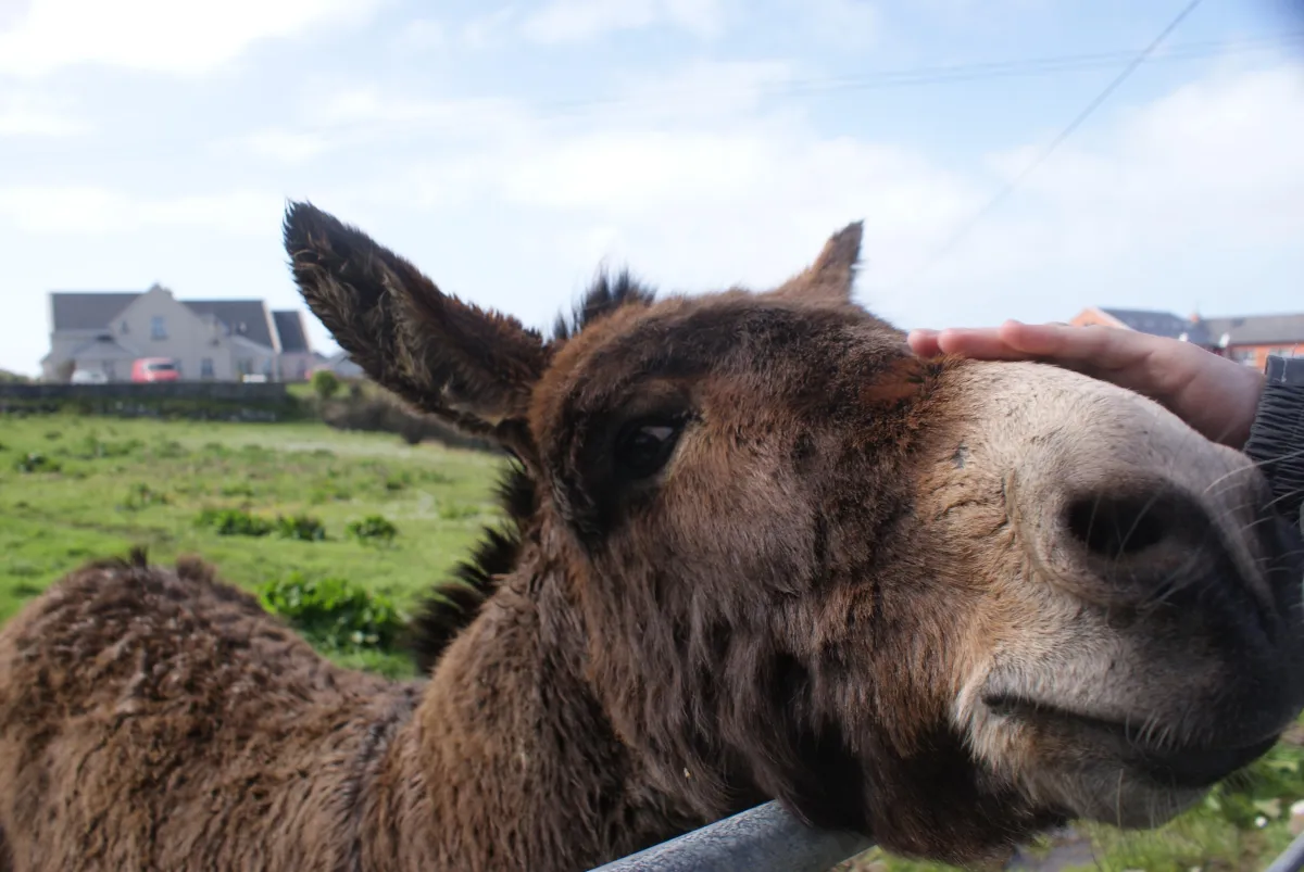 A group of women in red dresses standing next to each other