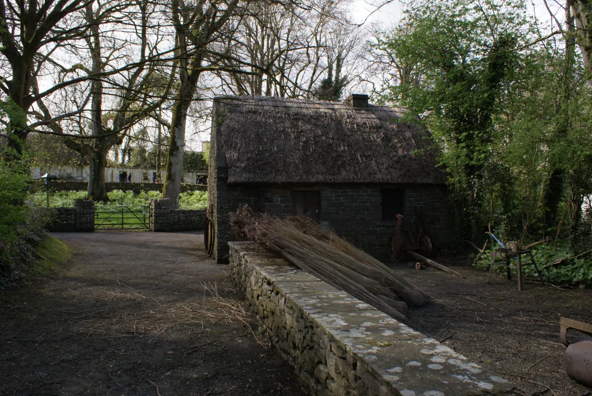bird's eye view of town