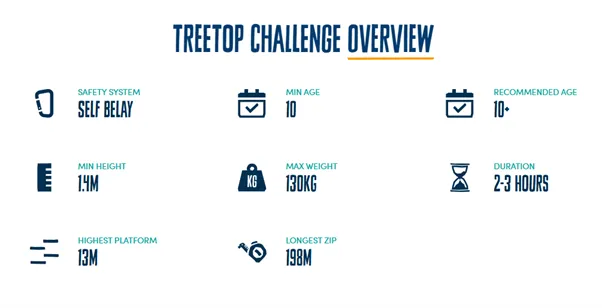 Treetop challenge over