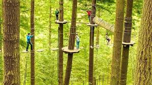 Go Ape Rivington