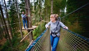 Go Ape Rivington