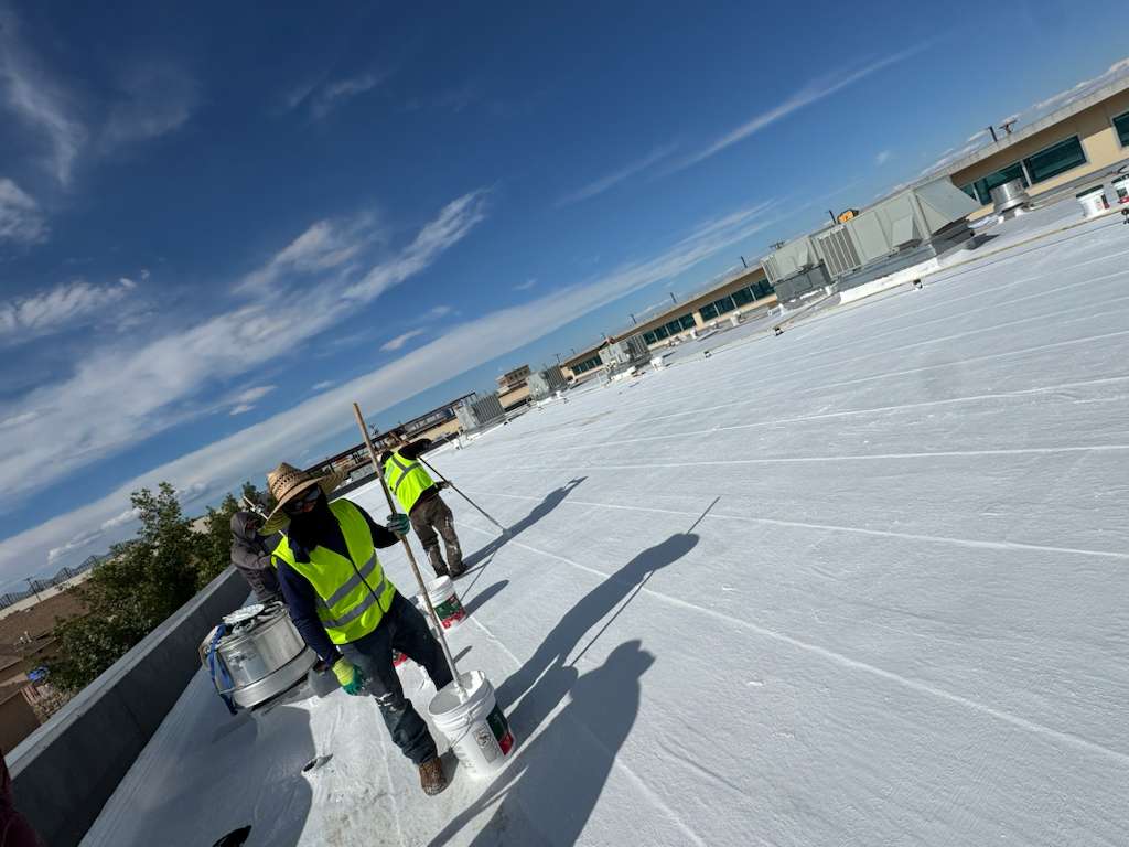 Landscape Contractor In Ventura County