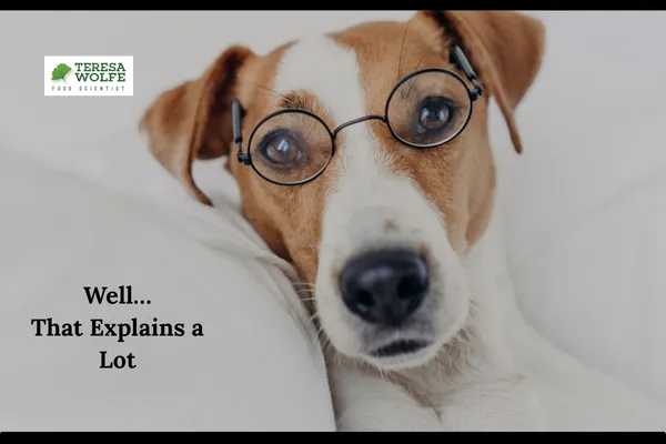 Dog wearing glasses looking calm and focused, representing clarity and ease around food decisions.