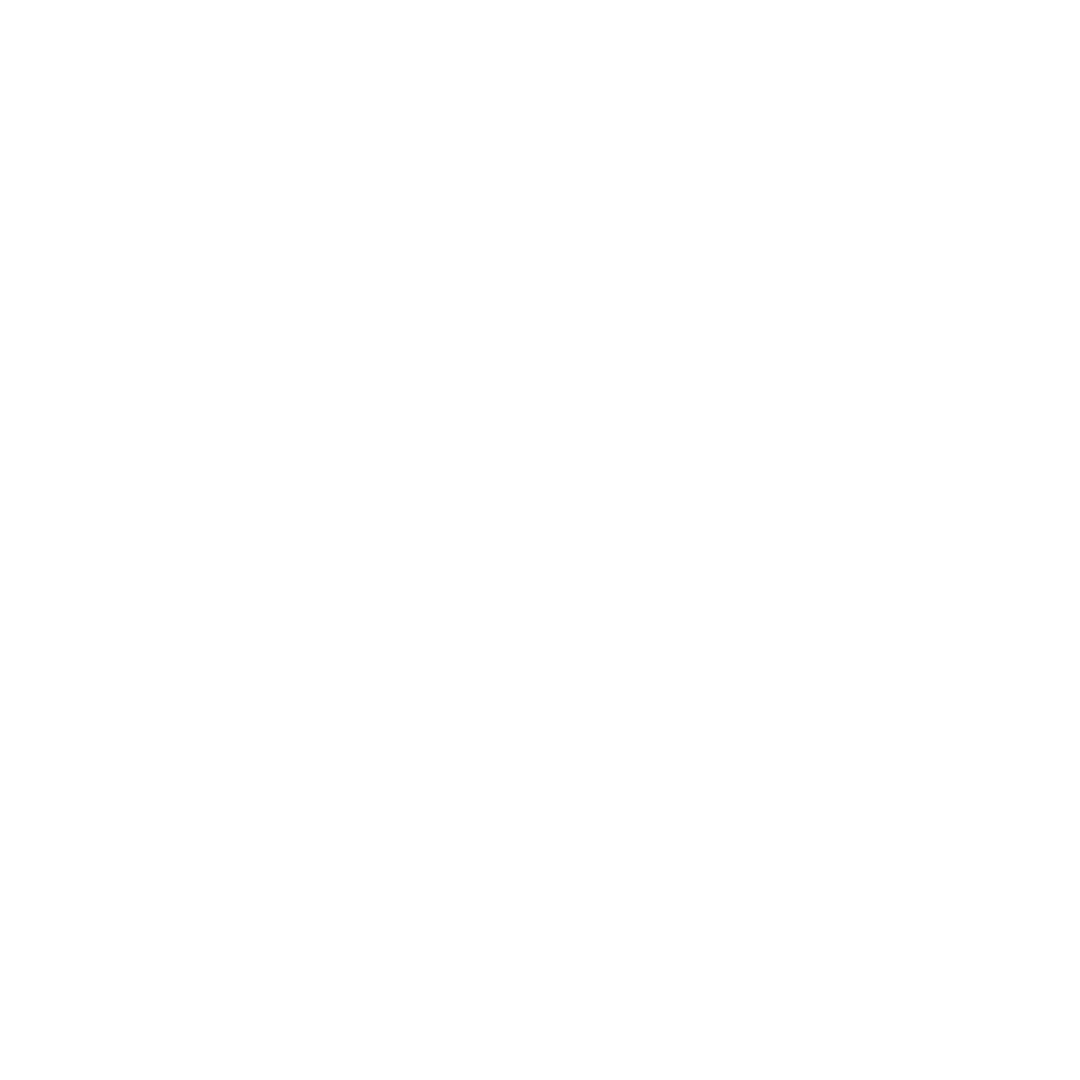 icon of a hand holding a clean house