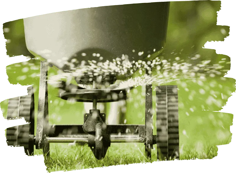 Core aeration and overseeding photo in College Grove, TN