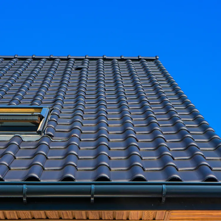 Baumfällung Berlin - Frisch gesägter Baum mit Mitarbeiter