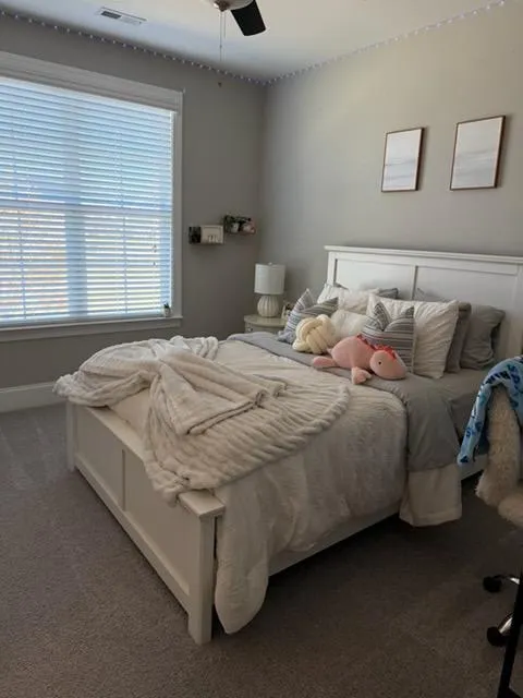 Regular Cleaning Raleigh