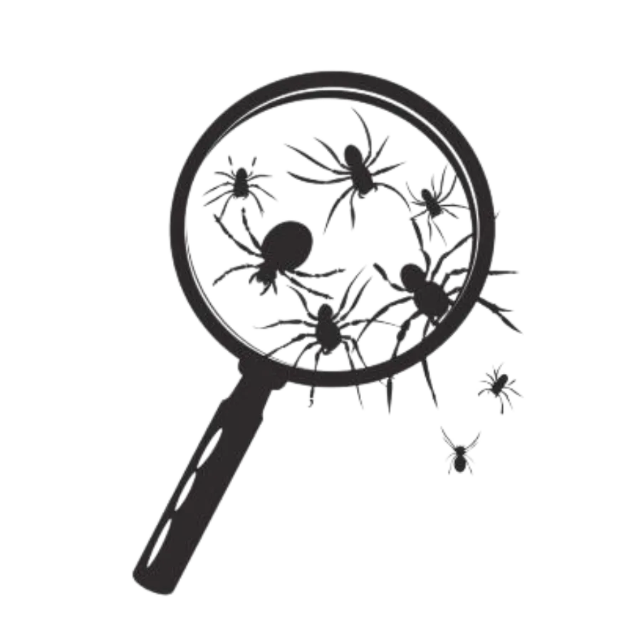 Magnifying Glass