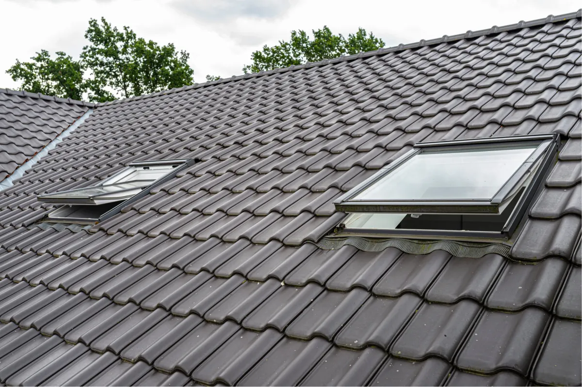 velux windows