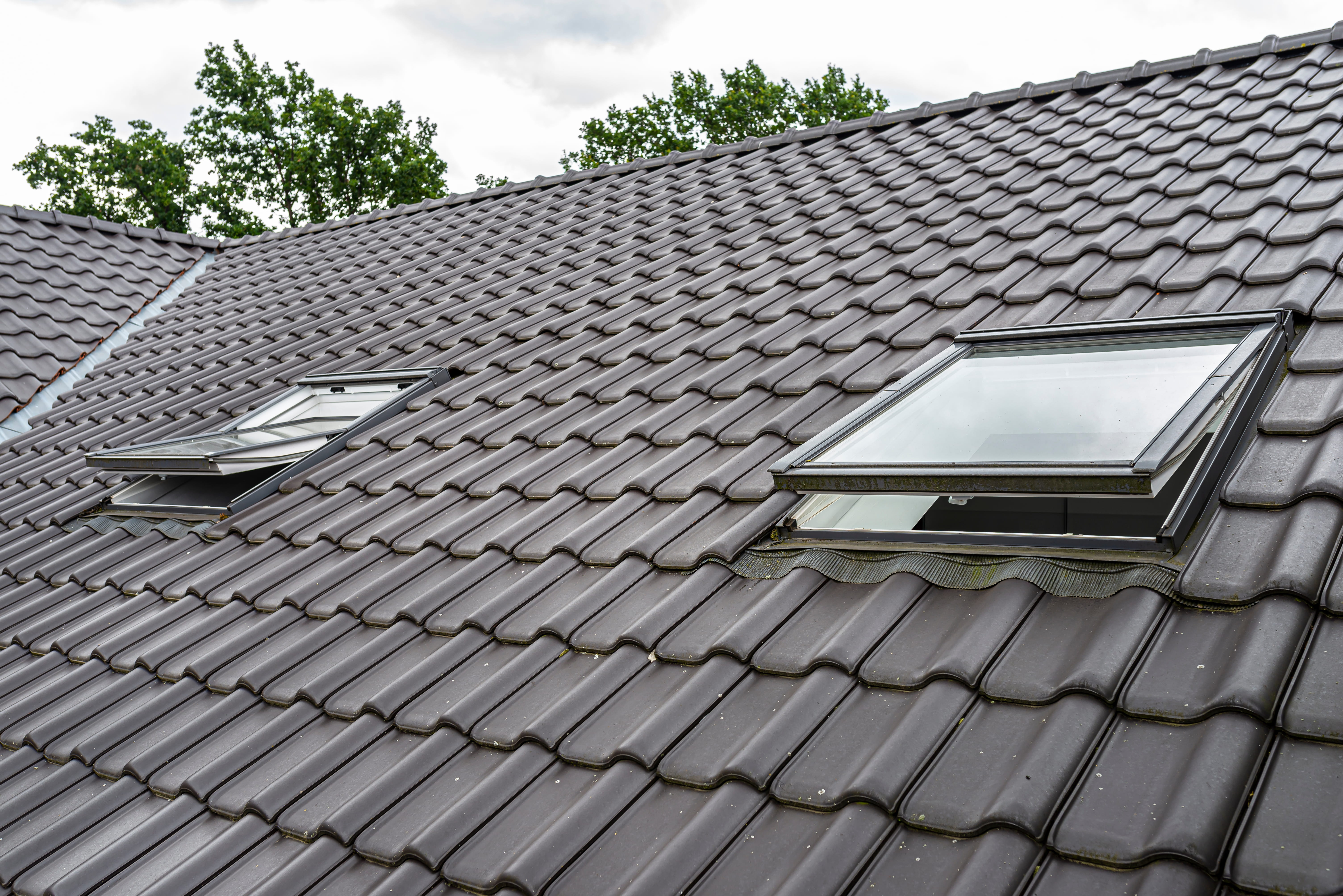 Roof Windows