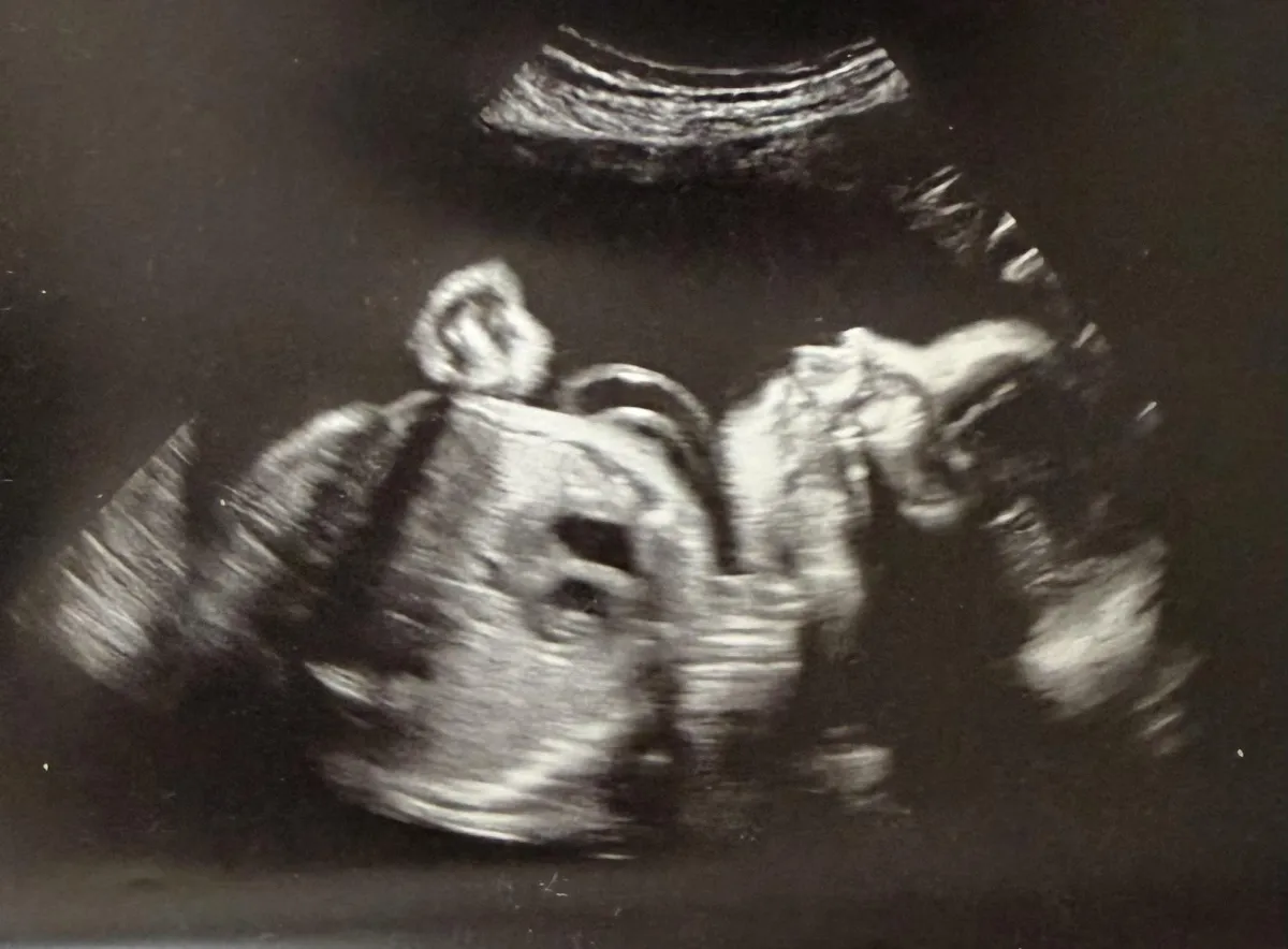 Man waters plants, woman holds potted plant.