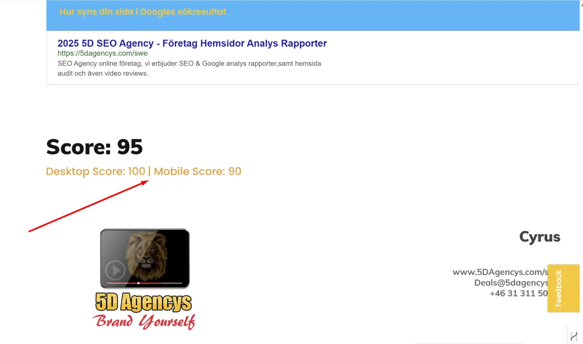 5D Agencys SEO Analys Rapport Ecover 1