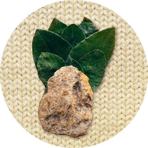 Coca leaves and healing stone used in a Quechua limpia healing ceremony