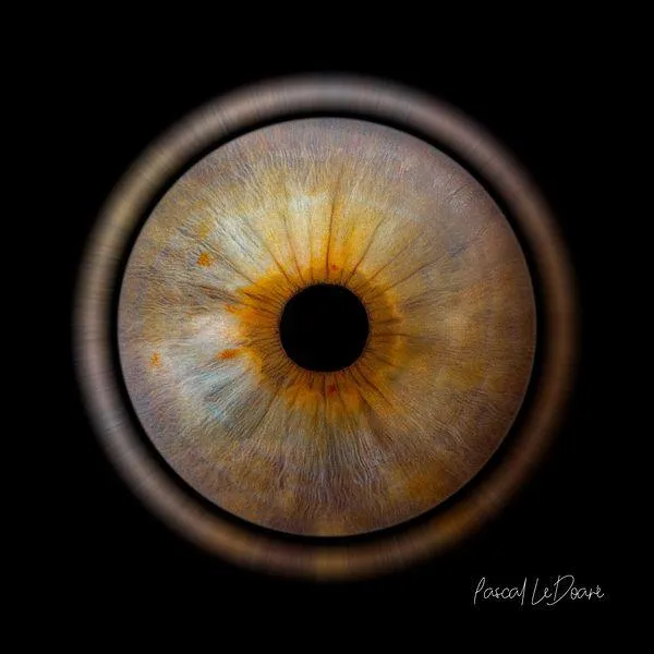Photographie iris