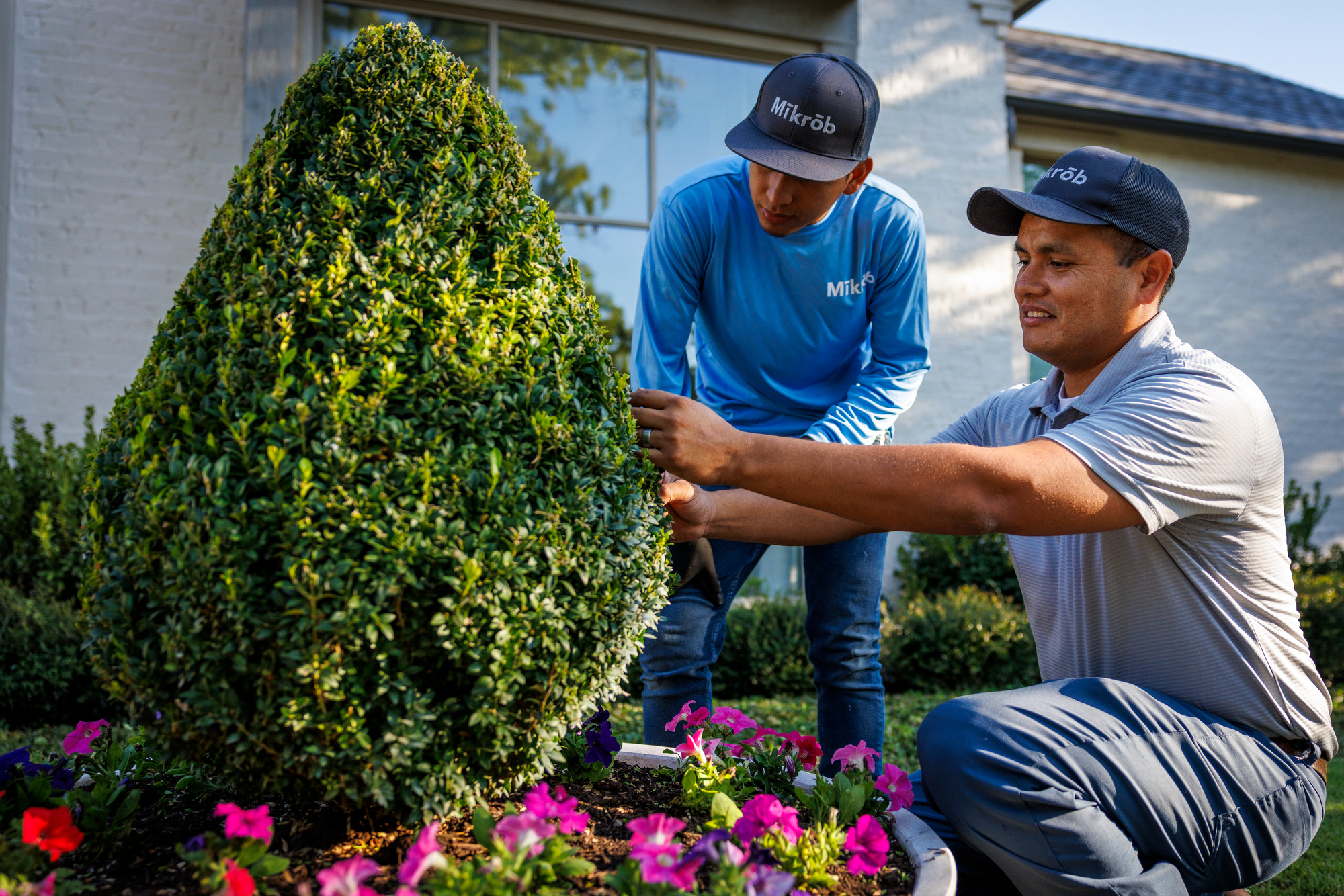 We analyze environment