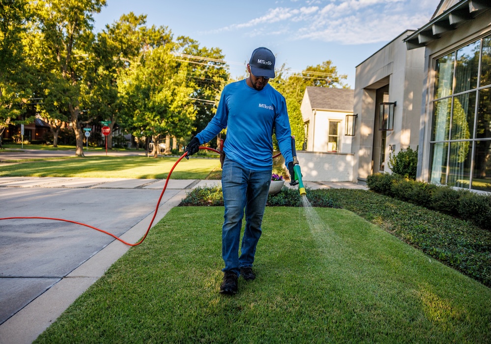 SITE ANALYSIS & SOIL TEST