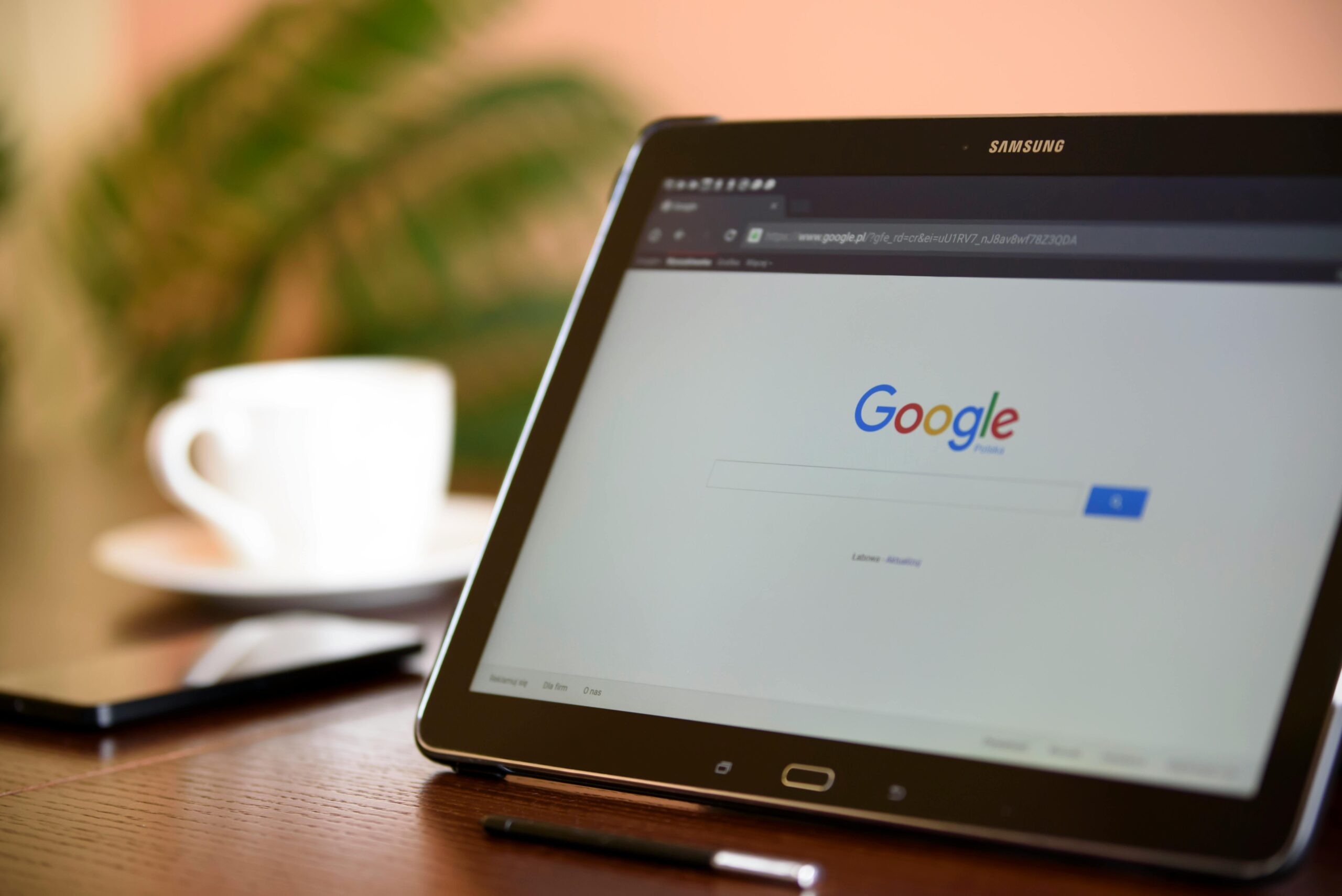 Build a Thriving Business Online