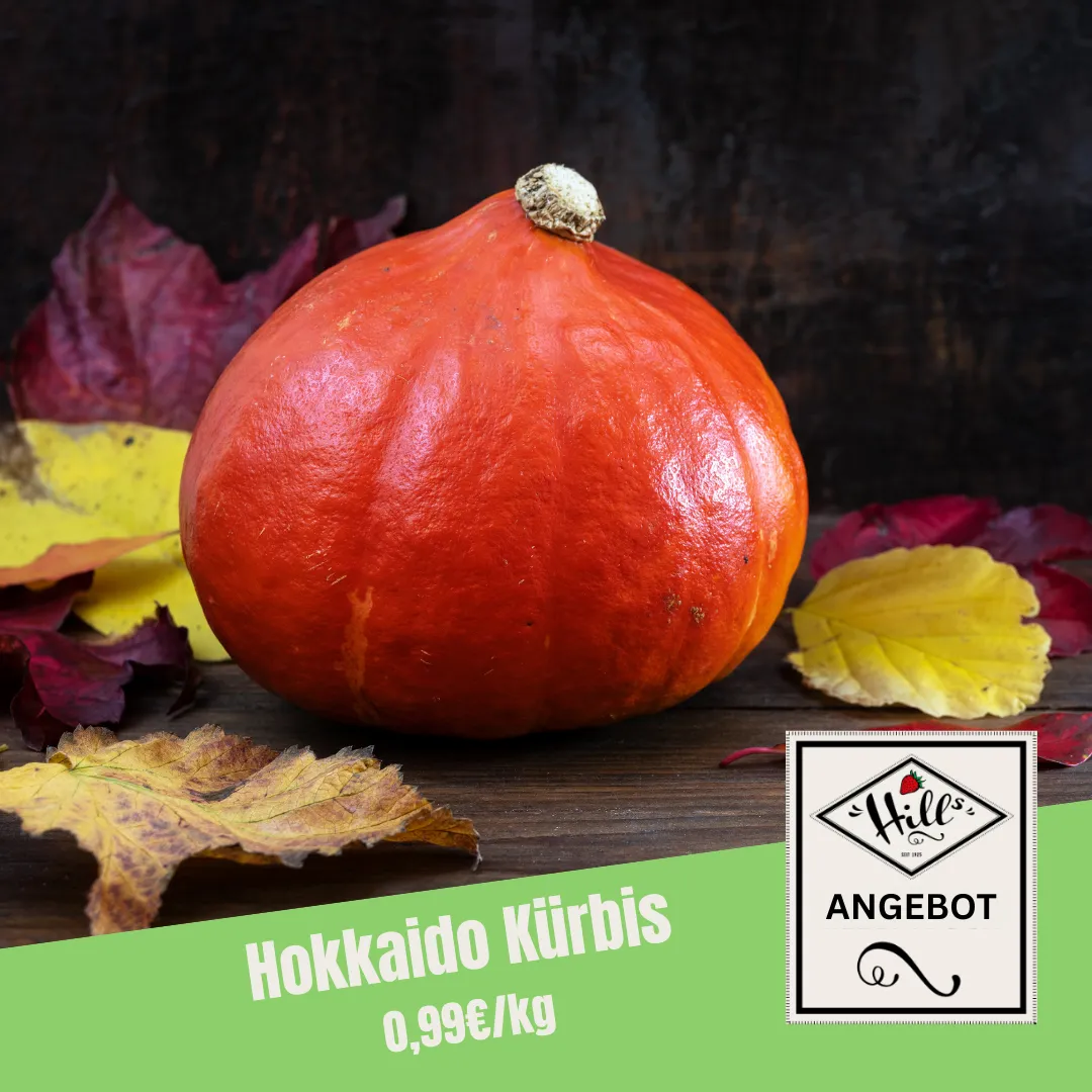 Hokkaido Kürbis