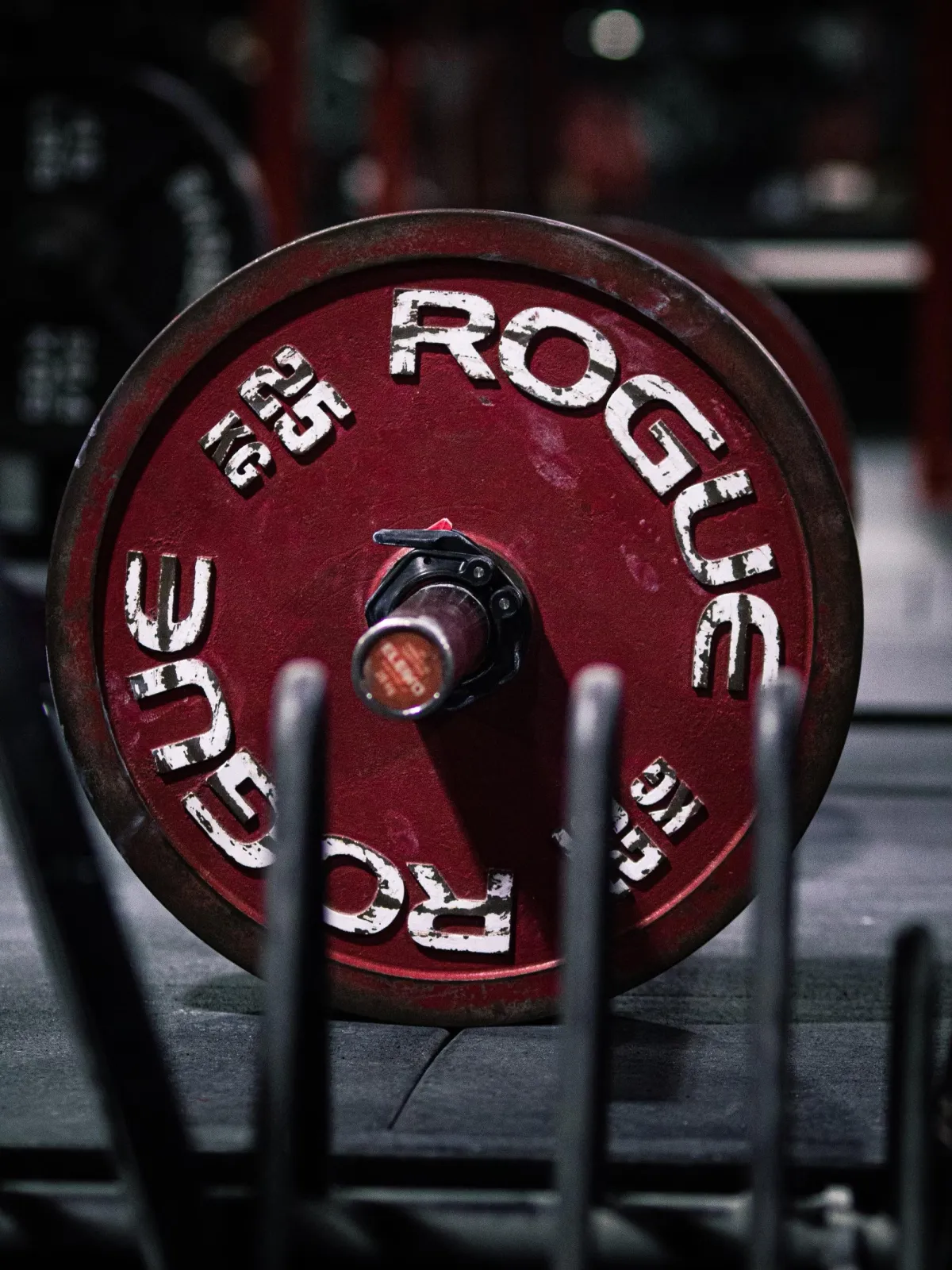 Barbell Alliance Gym