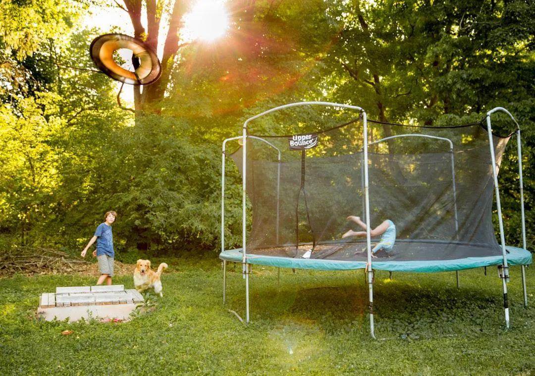 Swing Set Removal