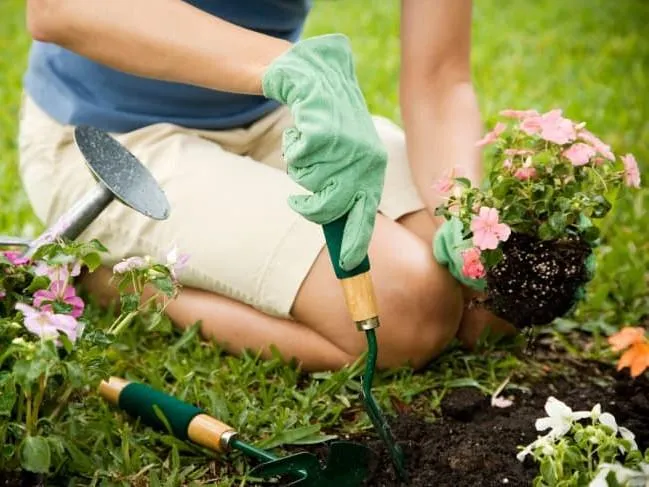 lawn mowing and gardening services near redland