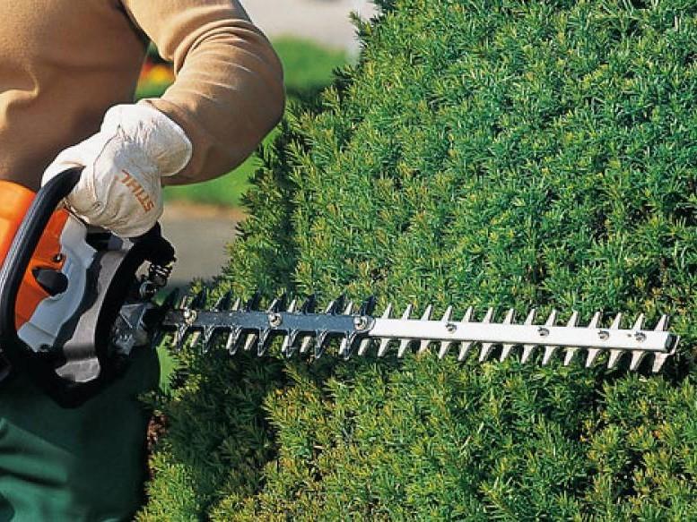 lawn mowing and gardening services near redland