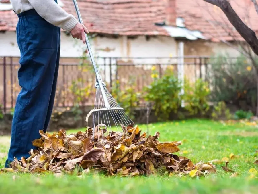 green waste removal redland