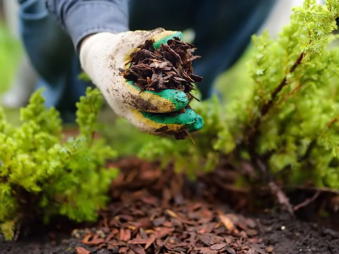 mulching services redland