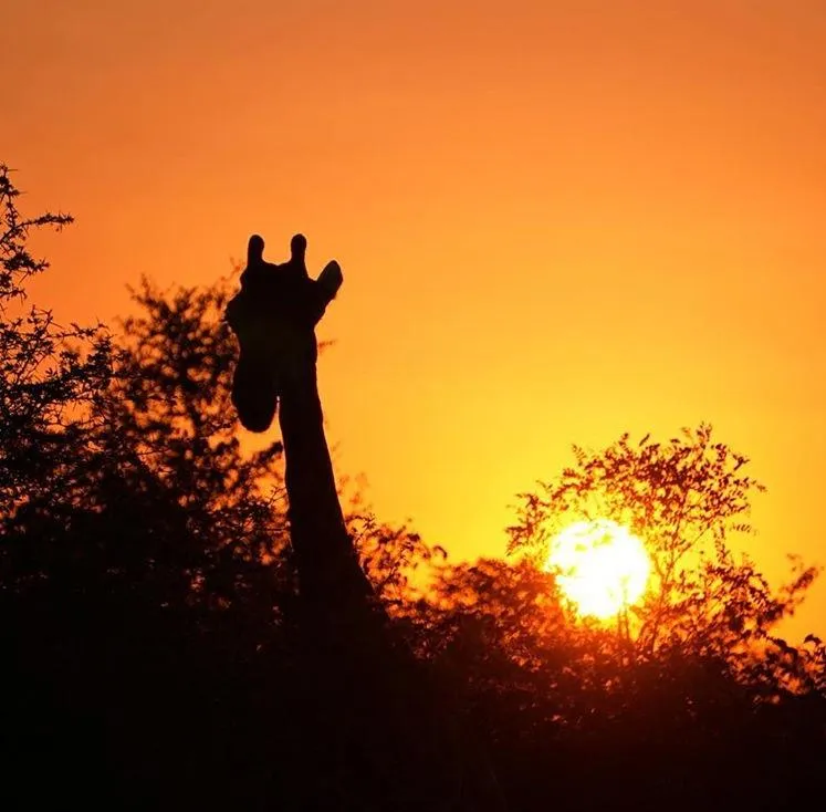 a man standing on top of a sand dune