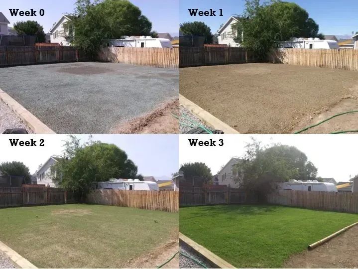 East Tennessee Hydroseeding